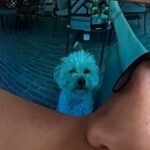 Devin Druid Instagram - oh puppy! @theboystv