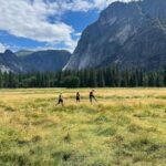 Devin Druid Instagram – gonna spam ya with lots o’ shots from Yosem Yosemite National Park