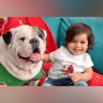 Dheeraj Dhoopar Instagram - Christmas postcards ‘23 👨‍👩‍👦‍👦🎄