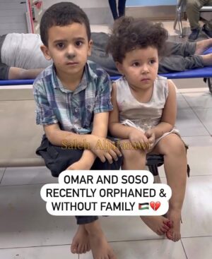 Diana Danielle Instagram - Keep donating and keep praying for Palestine. Never feel helpless just because you’re not able to stop the war. That you’re not able to give them aid, or water & food, that the border continues to be closed, that you can’t catch bombs falling from the skies. Your power is your consistent collective prayers, your power to influence by shedding light about the oppression through your own platform (however big or small), your ability to write and explain to those who don’t quite understand what’s exactly happening between Palestine and the Occupying & Oppressive Israel. Remind them that Israel does not have ANY RIGHT to “defend themselves” when they are war criminals, and the ILLEGAL occupiers of the State of Palestine for 75 years, holding millions hostage, continuously and open lu slaughtering civilians, aid workers, doctors, nurses, media representatives, bombing homes, schools, hospitals and flattening out neighbourhoods in the biggest open-prison in the world. 

For those with knowledge, write, for those with curiosity, read and for those with means, donate. This goes far beyond religion, this is genocide, ethnic cleansing and this is massacre.