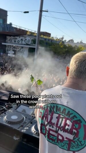 Dillon Francis Instagram - where is this guy getting all these plants?