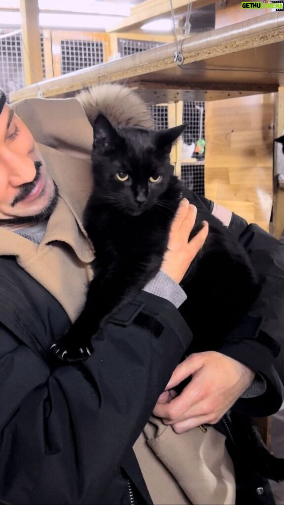 Dima Bilan Instagram - 3 месяца назад умер мой кот Соломон. В ноябре его лечащий врач - Андрей Валерьевич, поехал в Донецк, чтобы помочь, прооперировать и пролечить животных! И я, со своей стороны, тоже присоединился и передал вместе с ним часть своей помощи. Когда я размышлял, какого питомца я хочу завести - я думал, что после всех передряг с серьезно болеющим котом - это точно будет котенок. Но как говориться, мы предполагаем, а судьба располагает! Я в Донецке, захожу в приют кошек Владимира Михайловича и первое что я вижу - это он, кот Шахтер! Черный, большой, взрослый кот, ему примерно 7-10 лет ( возможно меньше, на 10 он не выглядит) и всю свою жизнь он живет в приюте! В любви и заботе, но в приюте! Посмотрите видео до конца! Умнейший кот! Сомневался ли я? Нет, нисколько, и даже долгая обратная дорога домой - не была помехой! Сейчас мы уже дома и у него адаптация, завтра покажу, как у него обстоят дела! #билан #димабилан !
