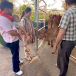 Disha Parmar Instagram - जब मेरा जनम हुआ था तब मेरी माता जी ने मुझे इसी महाल्क्ष्मी माता के चरनों में रखकर आशीर्वाद लिया था .. वैसे ही हमारी बिटिया नव्या को माताजी के पैरों में रखकर दिशा और मैंने उसके लिए आशीर्वाद लिया.. मंदिर के ही परिसर मे एक गौशाला का ये वीडियो.. 🙏🙏😇😇 Mahalaxmi Jagdamba Mata Mandir,Koradi