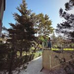 Doğa Rutkay Instagram - Sevgili dostlar, bildiğiniz gibi biz Urlada tatlış bir beldemize taşındık, 🌴ailecek ömrümüzde bir kapı araladık 🚪.Yavrularımızı doğada,yağmurda,denizde, karmaşadan stresten uzak her saniye bulutların ☁️geçişini izleyebilecekleri bir tecrübe yaşatmak istedik. Bakalım deniyoruz, olur da becerirsek çok sevinicem 👍🏼yok olmadı bakarız, malum bi Kerimcan bi ben durmadan İstanbul’a işlere koşturuyoruz🐎 Şimdiii bu postu paylaşmak istememin sebebine gelelim🤗 Dostlarr tabi işlerimiz uzadığında yavrularımızı da peşimizden sürükleyerek ailecek İstanbul da nerede kalsak, çoluk çocuk gelip gidiyoruz ne yapsam diye düşünürken karşıma @missafir çııktı! Tam bize-çocuklara uygun bahçeli, sıcacık çok rahat ettiğimiz merkezi bir ev bulduk ve yerleştik🪴. Rezervasyondan karşılamaya kadar tüm süreçte desteklerinden çok memnun kaldık. Karşılamadan, temizliğe, 7/24 iletişim desteğiyle sahiden kusursuz bir “ev hissi” deneyimi yaşadık👍🏼🌟💫 Bu vesileyle tüm ekibe ve bu güzel oluşuma teşekkür etmek istedim 🧿 Türkiye ve yurt dışında ev rahatlığında konaklama için @missafir’e bakabilirsiniz benden caanı gönülden bir #tavsiye! Okullar ara tatil olunca yine ailecek İstanbulda’yız bu sefer hangi @missafir 🏡evinde kalsak acaba?😬😍 #tavsiye #reklam Istanbul, Turkey
