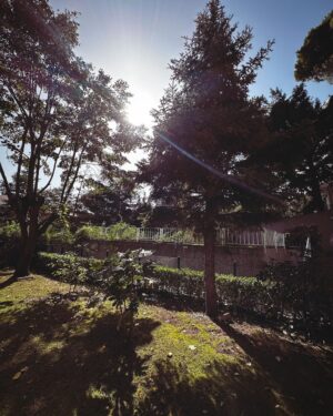 Doğa Rutkay Instagram - Sevgili dostlar, bildiğiniz gibi biz Urlada tatlış bir beldemize taşındık, 🌴ailecek ömrümüzde bir kapı araladık 🚪.Yavrularımızı doğada,yağmurda,denizde, karmaşadan stresten uzak her saniye bulutların ☁️geçişini izleyebilecekleri bir tecrübe yaşatmak istedik.
Bakalım deniyoruz, olur da becerirsek çok sevinicem 👍🏼yok olmadı bakarız, malum bi Kerimcan bi ben durmadan İstanbul’a işlere koşturuyoruz🐎
Şimdiii bu postu paylaşmak istememin sebebine gelelim🤗
Dostlarr tabi işlerimiz uzadığında yavrularımızı  da peşimizden sürükleyerek ailecek İstanbul da nerede kalsak, çoluk çocuk gelip gidiyoruz ne yapsam diye düşünürken karşıma @missafir çııktı!
Tam bize-çocuklara uygun bahçeli, sıcacık çok rahat ettiğimiz merkezi bir ev bulduk ve yerleştik🪴. Rezervasyondan karşılamaya kadar tüm süreçte desteklerinden çok memnun kaldık. Karşılamadan, temizliğe, 7/24 iletişim desteğiyle sahiden kusursuz bir “ev hissi” deneyimi yaşadık👍🏼🌟💫
Bu vesileyle tüm ekibe ve bu güzel oluşuma teşekkür etmek istedim 🧿
Türkiye ve yurt dışında ev rahatlığında konaklama için @missafir’e bakabilirsiniz benden caanı gönülden bir #tavsiye!
Okullar ara tatil olunca yine ailecek İstanbulda’yız bu sefer hangi @missafir 🏡evinde kalsak acaba?😬😍
#tavsiye
#reklam