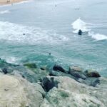 Dominic Purcell Instagram – This is what drowning looks like. The ocean is no joke. Good catch @coutantpierro