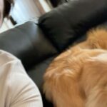Dominic Sherwood Instagram - I’m so, so excited about this. The team @limbitless3d have been amazing at not only creating wonderful innovative products for those in need FOR FREE, but also have welcomed me in so warmly! Stick around for further updates on projects and how you can get involved! I love you all!! #limbitlesssolutions #danlovesyoutoo