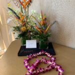 Dominic Sherwood Instagram - What a wonderful trip! @princewaikiki thank you! #hawaii