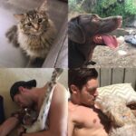 Dominic Sherwood Instagram - In that vein, here Rajah, Boo, Rowdy, and Barkley being super cute. #spreadlove #stophate