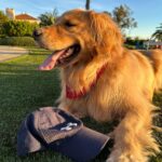 Dominic Sherwood Instagram - We are calling this the hat saga…most recent update…I don’t have my hat.