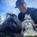 Donnie Wahlberg Instagram - Happy #ShihTzuesday from me and these two little angels. Have an awesome day! 🐶🐾🙏🏼❤️💫✨😍 🤖❤️♾💫✨🤟🏼 #shihtzu #shihtzusofinstagram #shihtzulovers Saint Charles, Illinois