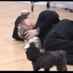 Donnie Wahlberg Instagram - Good morning! ➡️ Run your race. On your path. In your lane. Don’t give up. Your dreams await. If you believe. It’s your time. Are you ready? Go get it. 🙏🏼❤️💫 #thursday #thoughts #inspiration #motivation #love #puppies #kindness #shihtzu 🎥: @marissa__velez