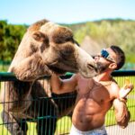 Dorian Popa Instagram – 🤍🤍🤍

——————————————————
#animallovers #zoo #camel #zoolife #cuteanimals Frankfurt, Germany