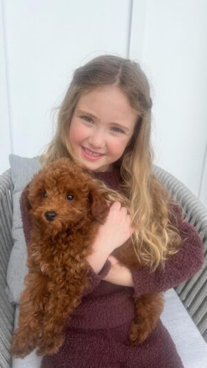 Dorit Kemsley Instagram - Holidays came a little early in this house 🐾 Welcome to the family, Pumpkin! 🐶🧡 We love you so much!
