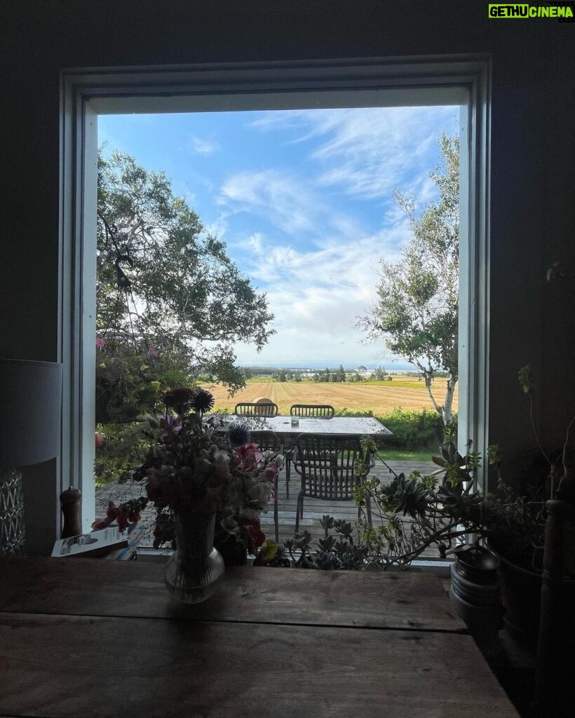 Drew Ray Tanner Instagram - A little dust on the bottle Belfast, Prince Edward Island