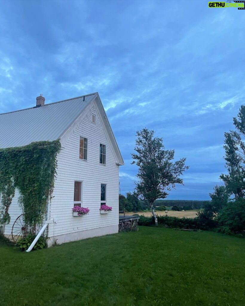 Drew Ray Tanner Instagram - A little dust on the bottle Belfast, Prince Edward Island