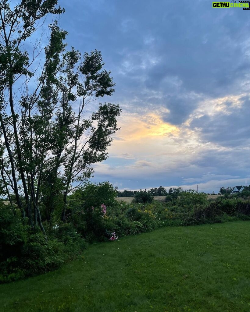 Drew Ray Tanner Instagram - A little dust on the bottle Belfast, Prince Edward Island