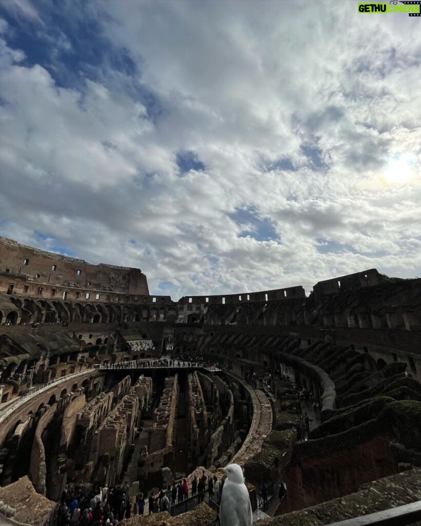 Drew Ray Tanner Instagram - Batti il ferro finché è caldo Rome, Italy