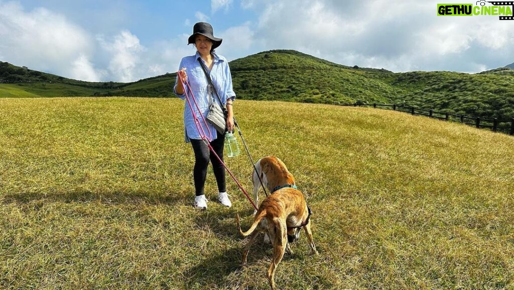 Eddie Peng Instagram - 🥾 🥾 🏔️ 🏔️