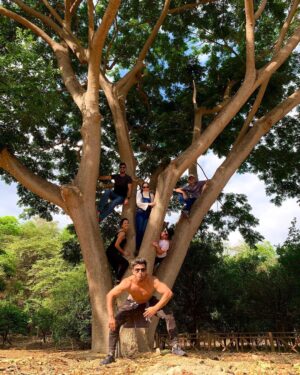 Efraín Ruales Instagram - En la ciudad de guayaquil, turistas pudieron observar una particular raza de monos 🐒 se sospecha era una familia y uno de ellos graciosamente arrebató el celular del turista y se tomó una selfie #anecdotas #turismoecuador 🇪🇨