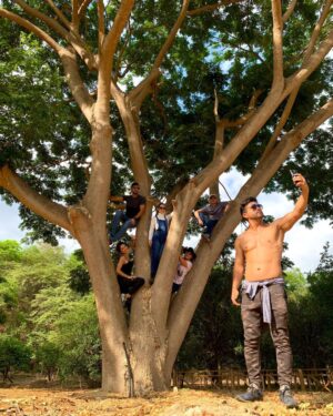 Efraín Ruales Instagram - En la ciudad de guayaquil, turistas pudieron observar una particular raza de monos 🐒 se sospecha era una familia y uno de ellos graciosamente arrebató el celular del turista y se tomó una selfie #anecdotas #turismoecuador 🇪🇨