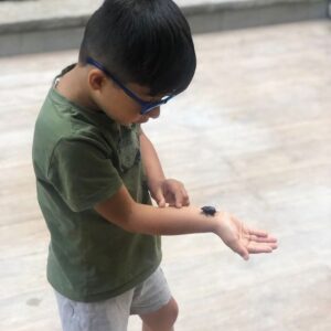 Ehsan Khajeamiri Instagram - ارشان و پت های خانگیش
تصویر آخر هم کپ کرده چون اومده مدرسه اسم بنویسه 😁