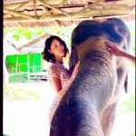 Eiza González Instagram – This was beyond magical 💘🐘
Went to meet these majestic beings at a sanctuary where they heal and rehab them to return them to their environment.🫶🏼It’s hard to believe we coexist with such creatures, we are so lucky to be able to.  I swear we aren’t worthy of them
It’s moments like these that make me the absolute  happiest. I was beaming!🥹🫶🏼🙏🏼❤️🌺