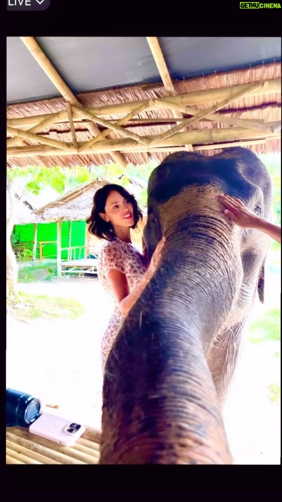 Eiza González Instagram - This was beyond magical 💘🐘 Went to meet these majestic beings at a sanctuary where they heal and rehab them to return them to their environment.🫶🏼It’s hard to believe we coexist with such creatures, we are so lucky to be able to. I swear we aren’t worthy of them It’s moments like these that make me the absolute happiest. I was beaming!🥹🫶🏼🙏🏼❤️🌺