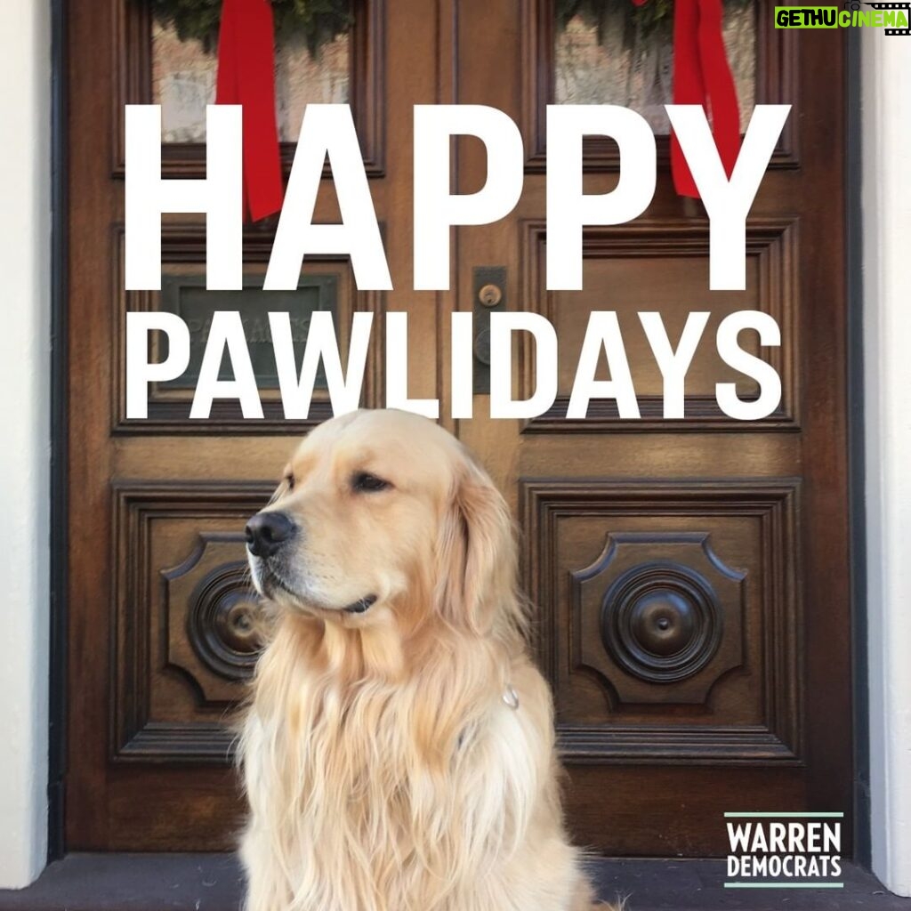 Elizabeth Warren Instagram - From my family to yours, merry Christmas! Bruce, Bailey, and I hope you’re having a safe, healthy holiday season.