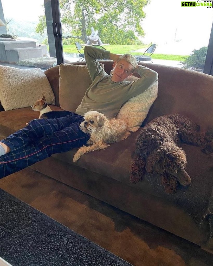 Ellen DeGeneres Instagram - Happy #NationalPetDay to this crew. ❤️