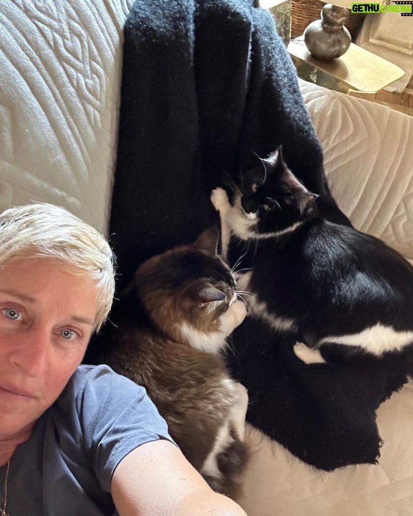 Ellen DeGeneres Instagram - Happy #NationalPetDay to this crew. ❤️