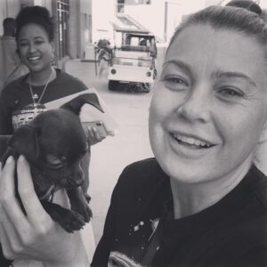 Ellen Pompeo Thumbnail - 848K Likes - Top Liked Instagram Posts and Photos