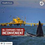 Ellen Pompeo Instagram – #Repost @oceana with @repostapp
・・・
The Marine Mammal Protection Act (MMPA) is the first line of defense for protecting whales, dolphins, and other marine mammals from harmful human activities in the ocean, like seismic airgun blasting and dangerous offshore drilling. Together, we can defend whales – but your member of Congress needs to hear from you. Click the link in our bio to add your name NOW.  It takes 1 minute!! Do it please!!!