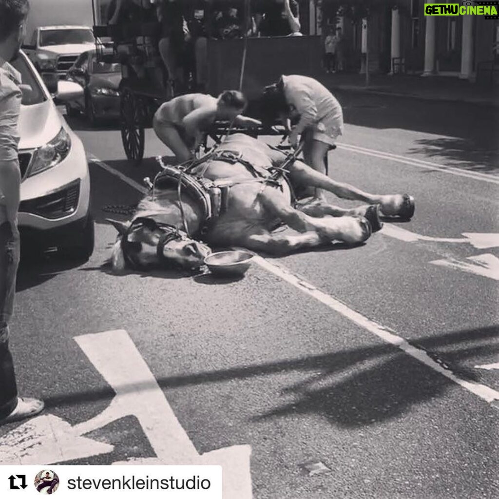 Ellen Pompeo Instagram - @nycmayor please DO SOMETHING about this animal cruelty on the streets of NYC Please don't be an advocate for change and overlook animal rights... NYC is a beacon around the world we must advocate before all else for kindness ❤️🙏🏽 please? 😊