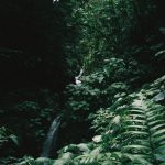 Emma Myers Instagram - Costa Rica