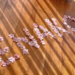 Enako Instagram - ここ最近は朝から雑誌の撮影して夕方からテレビ収録というスケジュールが多くなってきました🙌 この1週間で雑誌6冊の表紙撮影してきたので春になったら またたくさん表紙飾らせていただきます🌸✨