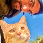 Engin Akyürek Instagram - 🐱☀️