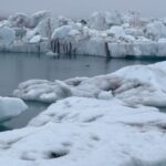 Enrique Gil Instagram - 🧊🦭 Jökulsárlón Glacial Lagoon