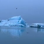 Enrique Gil Instagram - 🧊🦭 Jökulsárlón Glacial Lagoon