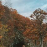 Enzy Storia Instagram - Saturday well spent witchuu @molenkasetra ♥️😌 Shenandoah National Park