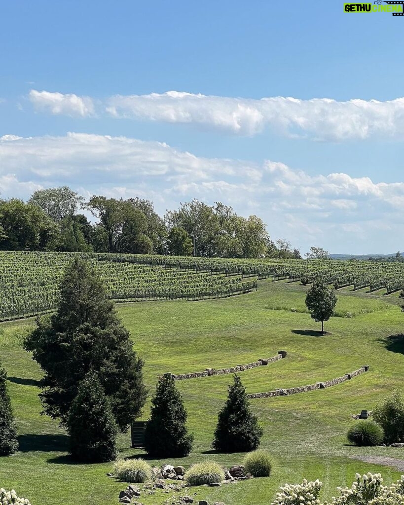 Enzy Storia Instagram - Toasting to another trip around the sun at this stunning winery! 🥂 Grateful for the beautiful views and the amazing company 🩷 Leesburg, Virginia