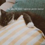 Enzy Storia Instagram - Life lately 🍉