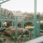 Enzy Storia Instagram - 🎢 #35mm