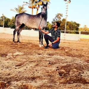 Essam Elsakka Instagram - #horse ❤️🐎❤️