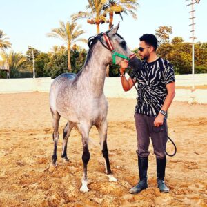 Essam Elsakka Instagram - #horse ❤️🐎❤️