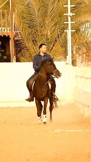 Essam Elsakka Instagram - Game over 🐴🐴🐴❤️