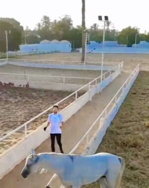 Essam Elsakka Instagram - ❤️#horse #horses #horsesofinstagram #equestrian #horseriding #equine #pony #pferd #equestrianlife #horselove #dressage #horselover #instahorse #love #cheval #showjumping #horselife #photography #nature #pferde #horseofinstagram #caballo #riding #horsebackriding #pferdeliebe #caballos #horsepower #horsephotography #instagram #cavalo