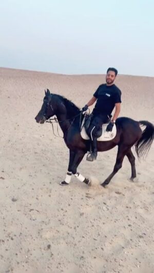 Essam Elsakka Instagram - ❤️✌️🐴🐴🐴