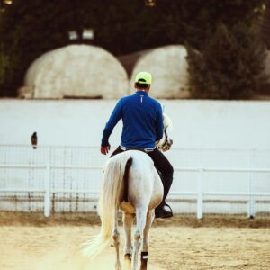 Essam Elsakka Instagram - 🐴🐴 #horse #horses #horseriding  #horselove  #horselovers @aljawhara_stud @abdo.elfeky.ph
