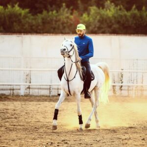 Essam Elsakka Instagram - 🐴🐴 #horse #horses #horseriding  #horselove  #horselovers @aljawhara_stud @abdo.elfeky.ph